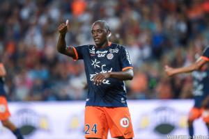 Roussillon vers l'ASM ?