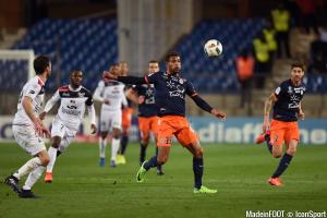 Steve Mounié (MHSC) est pisté par de nombreuses formations continentales.