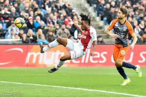 Les compos probables de Montpellier - Monaco.