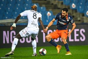L'album photo du match entre le Montpellier HSC et le FC Lorient.