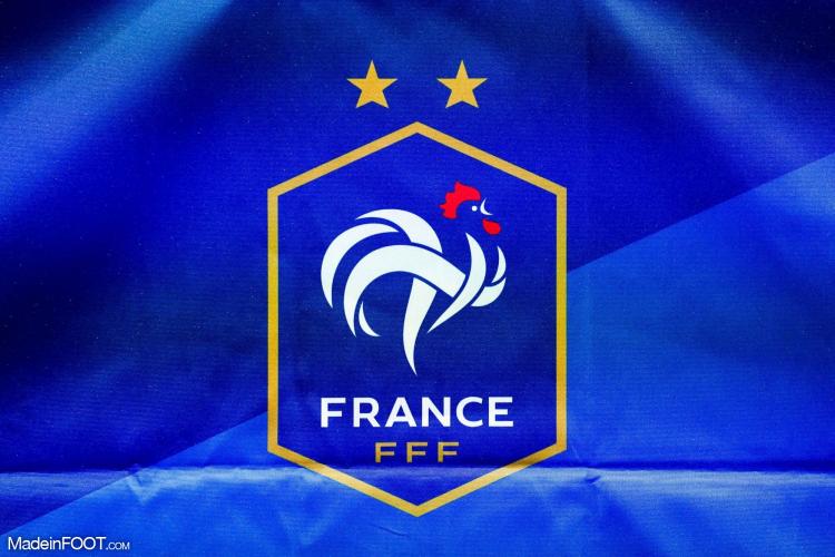 Euro U17 - Yanis Ali Issoufou entre en jeu, l'équipe de France s'incline contre l'Allemagne en finale