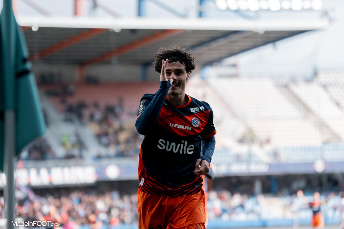 Magnet Logo MHSC - MHSC la boutique officielle du Montpellier Hérault S.C